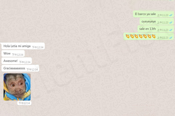 twin welding hose good reputation